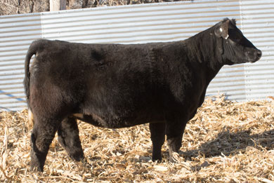 Lot 10